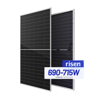 Precio del panel solar fotovoltaico bifacial monocristalino de 700 vatios de Risen Energy