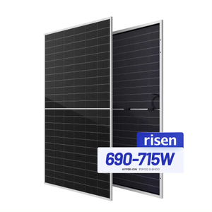 Precio del panel solar fotovoltaico bifacial monocristalino de 700 vatios de Risen Energy